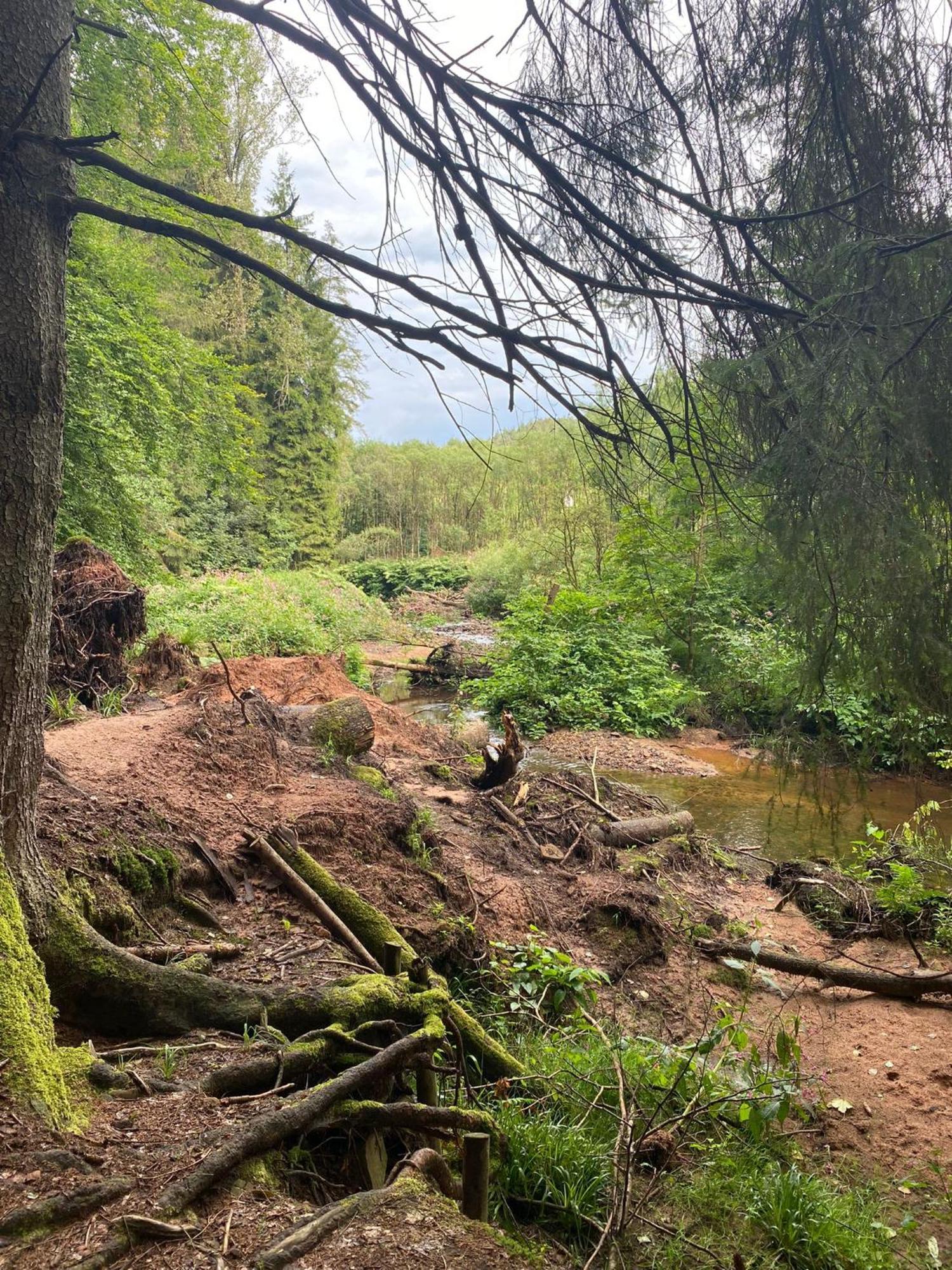 Ferienhaus Vulkaneifel Abtei Himmerod Großlittgen Exteriör bild