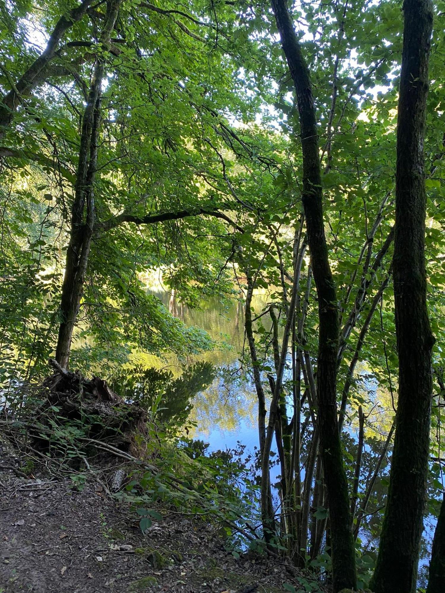 Ferienhaus Vulkaneifel Abtei Himmerod Großlittgen Exteriör bild