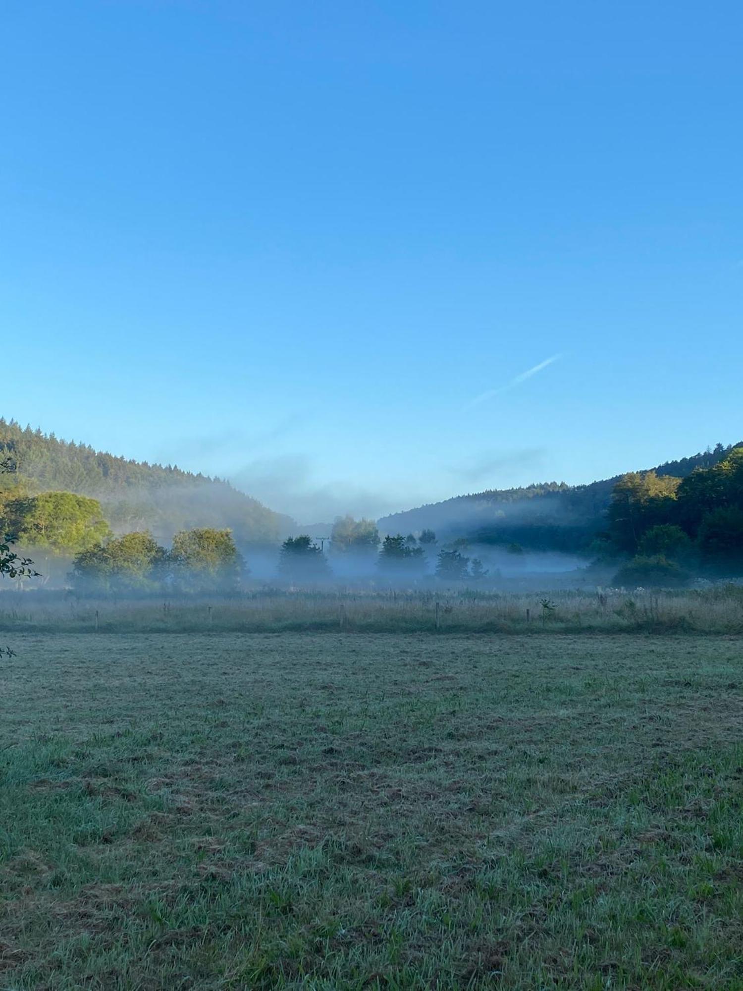Ferienhaus Vulkaneifel Abtei Himmerod Großlittgen Exteriör bild