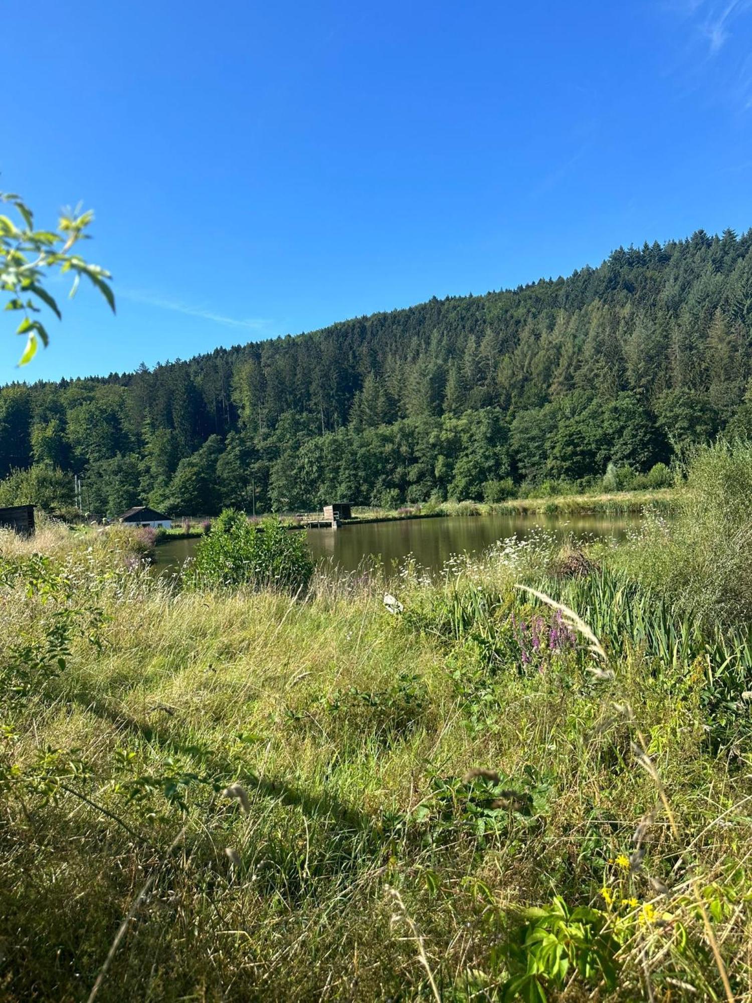 Ferienhaus Vulkaneifel Abtei Himmerod Großlittgen Exteriör bild