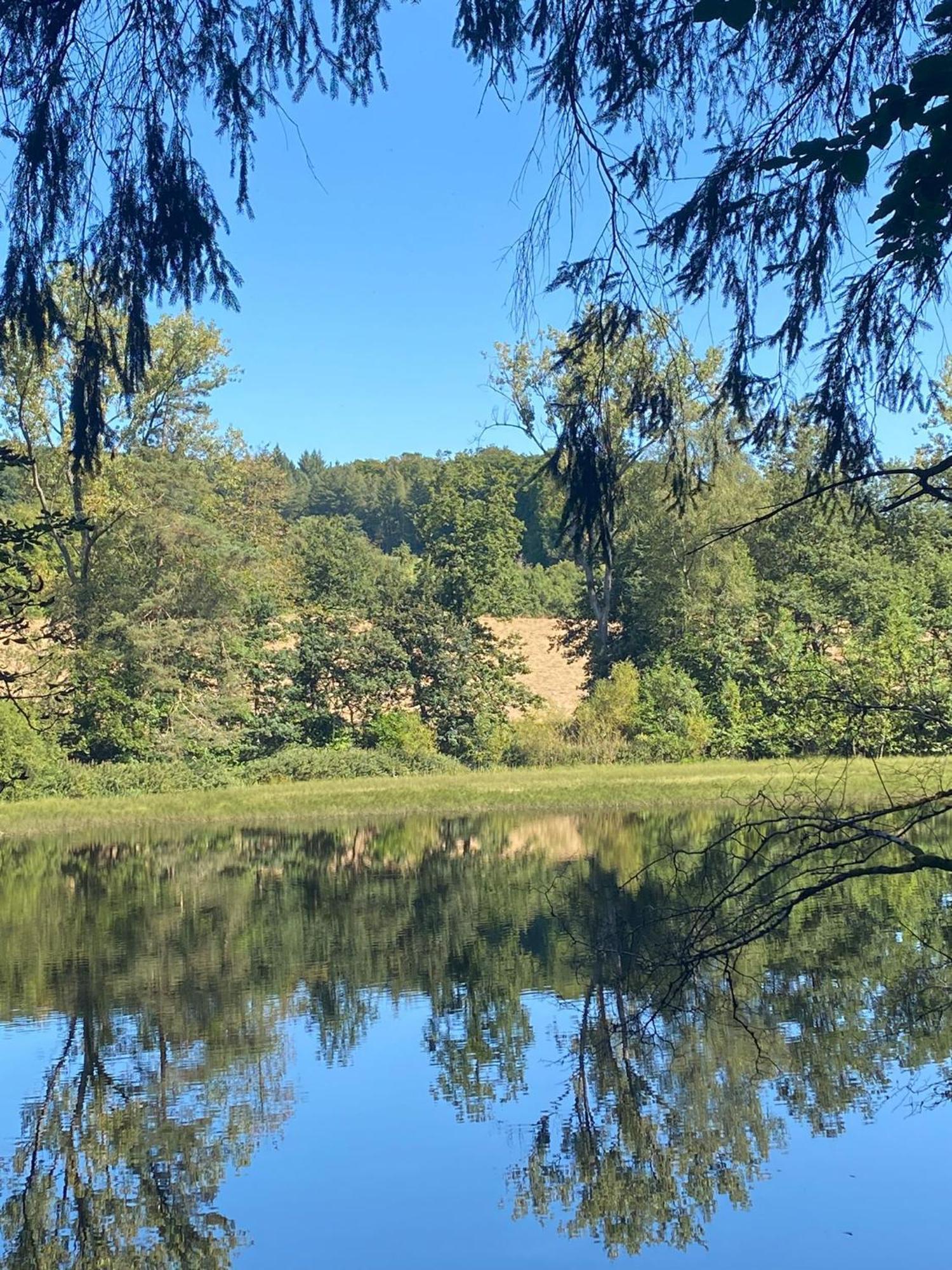 Ferienhaus Vulkaneifel Abtei Himmerod Großlittgen Exteriör bild