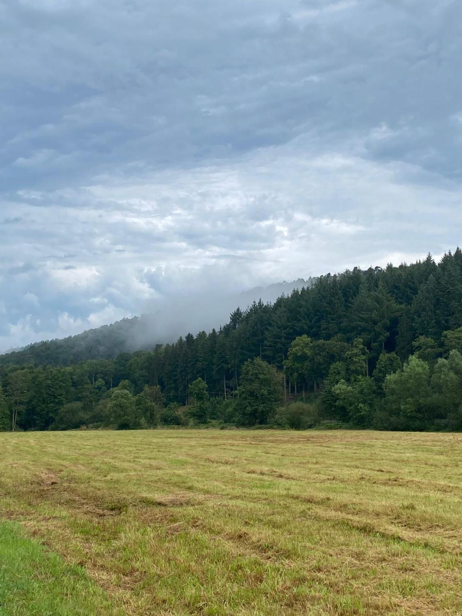 Ferienhaus Vulkaneifel Abtei Himmerod Großlittgen Exteriör bild