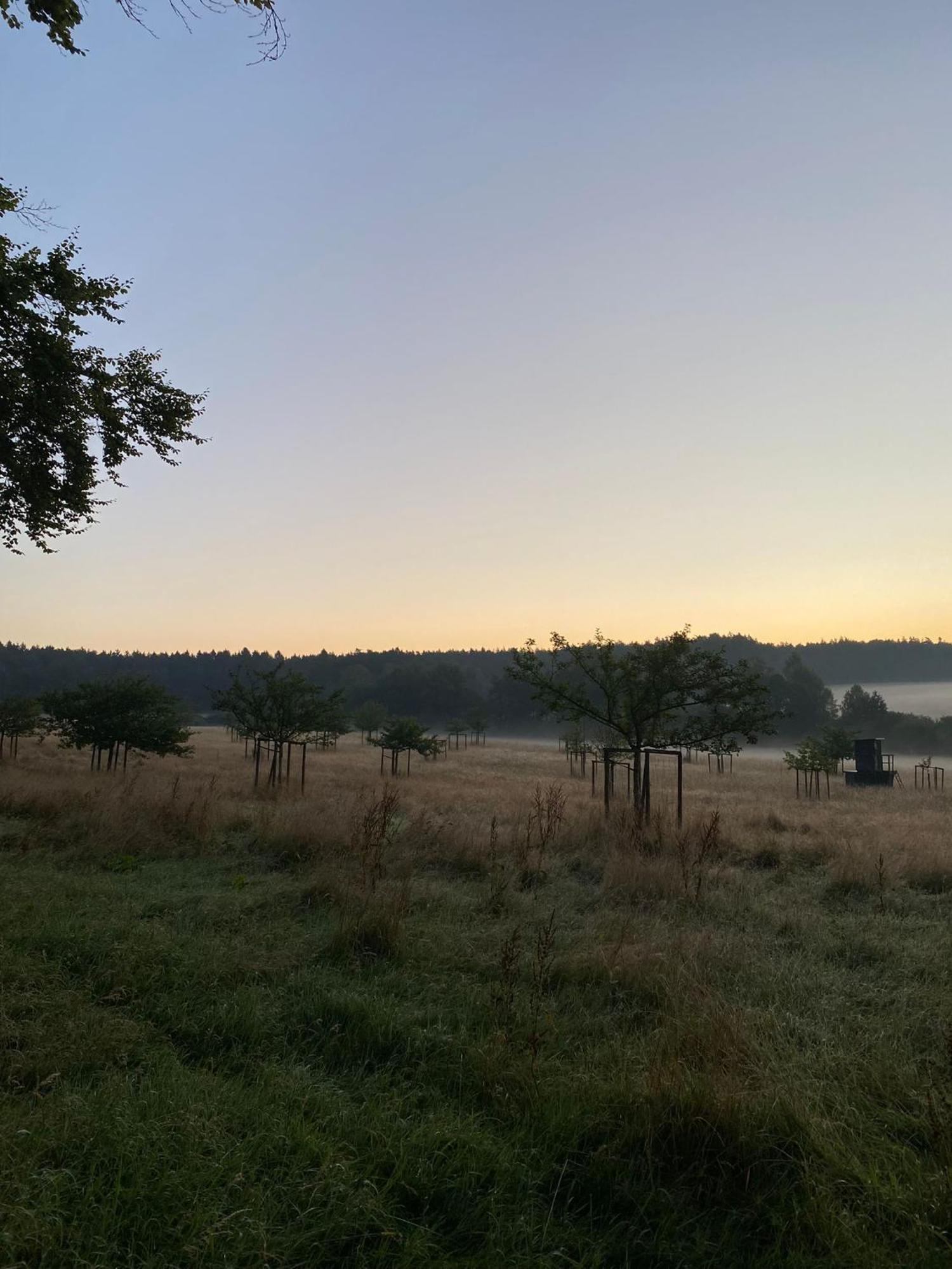 Ferienhaus Vulkaneifel Abtei Himmerod Großlittgen Exteriör bild
