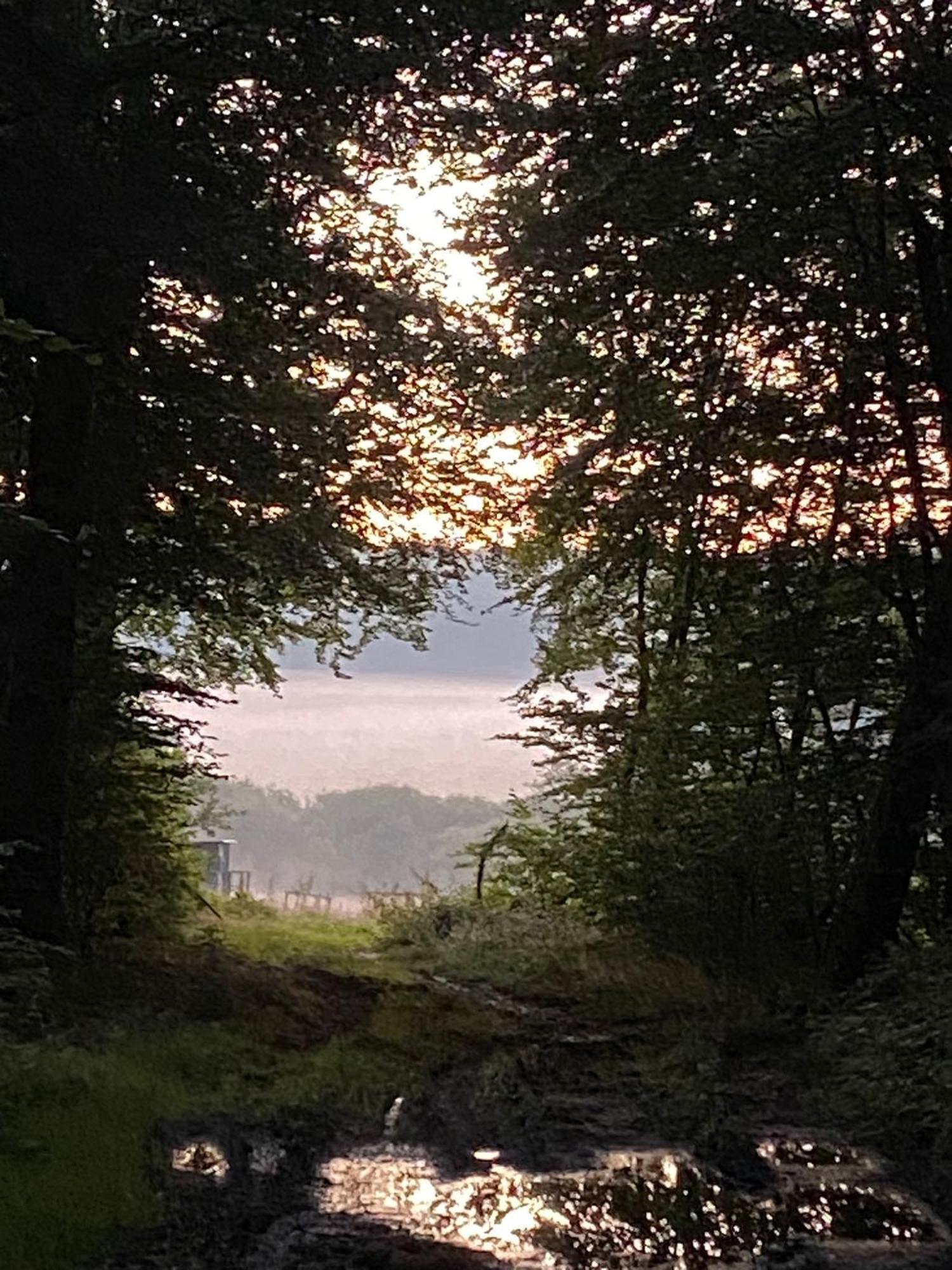 Ferienhaus Vulkaneifel Abtei Himmerod Großlittgen Exteriör bild