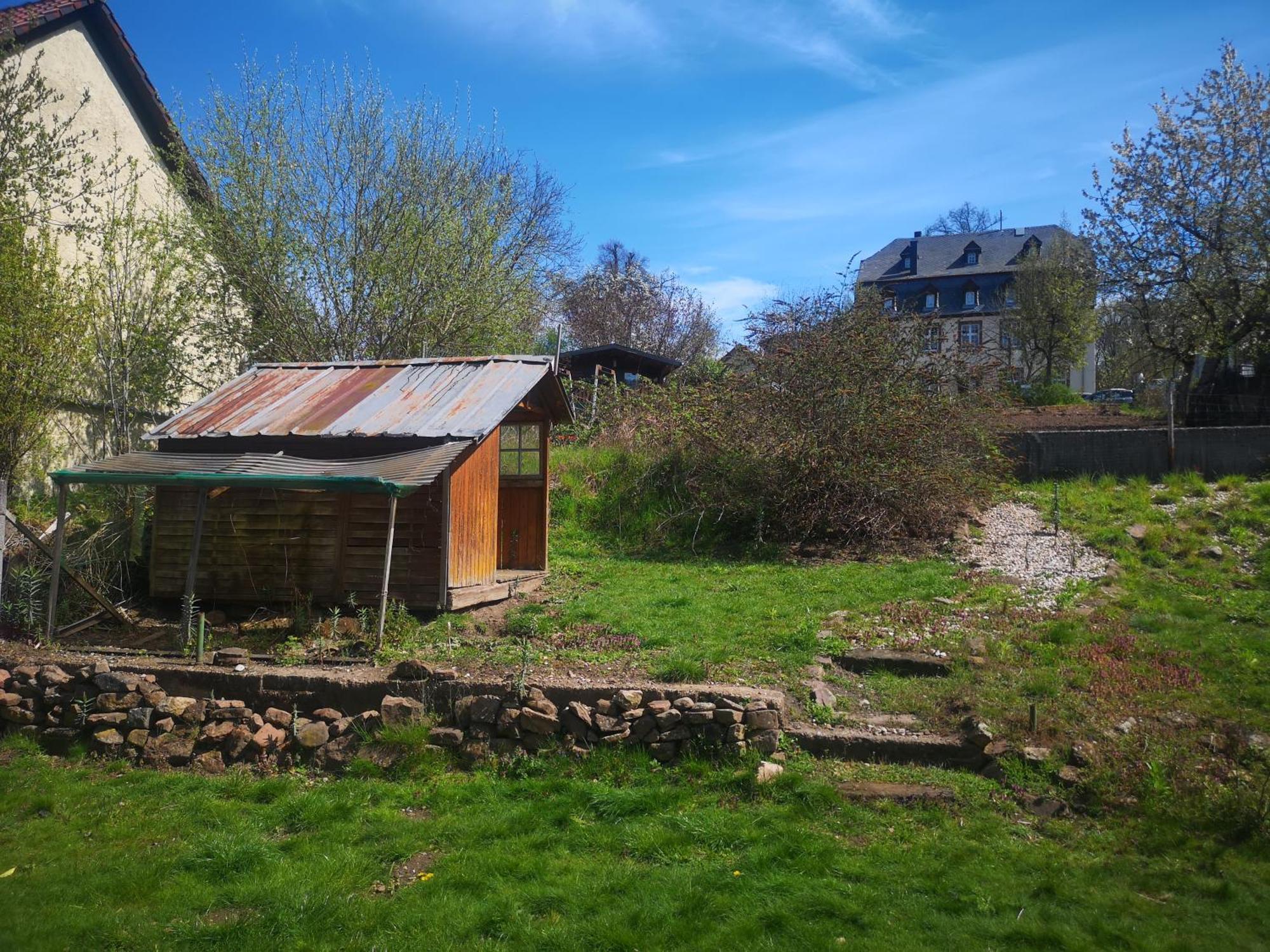 Ferienhaus Vulkaneifel Abtei Himmerod Großlittgen Exteriör bild