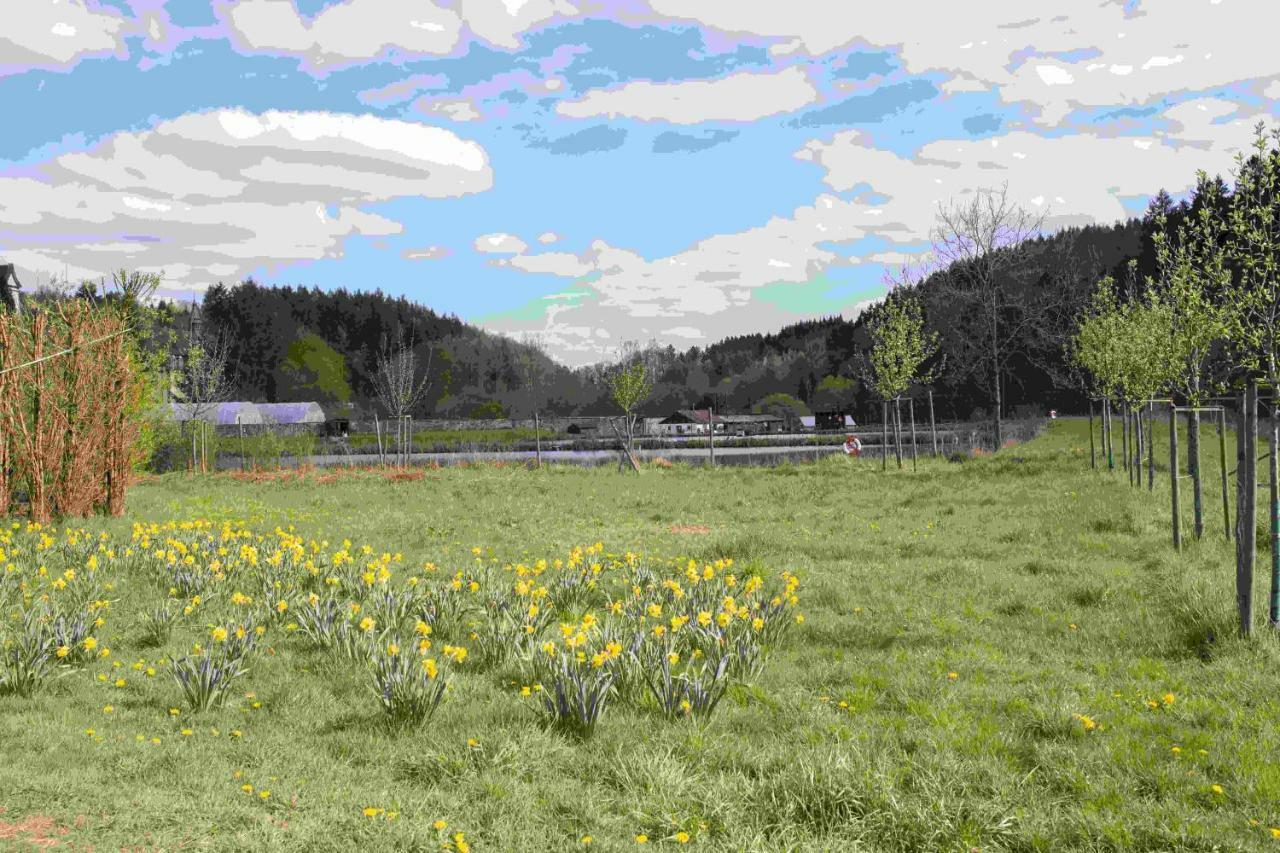 Ferienhaus Vulkaneifel Abtei Himmerod Großlittgen Exteriör bild