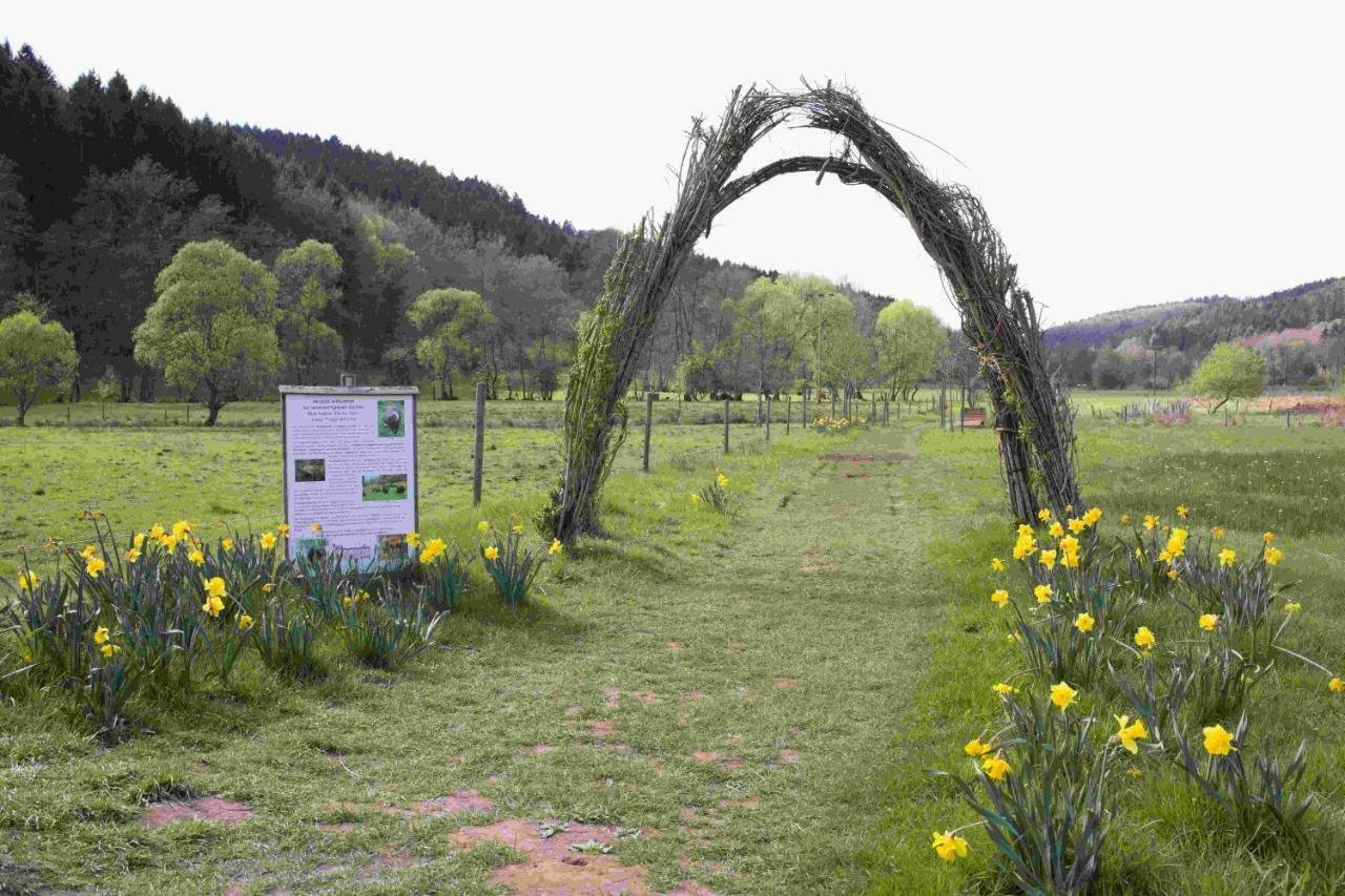 Ferienhaus Vulkaneifel Abtei Himmerod Großlittgen Exteriör bild